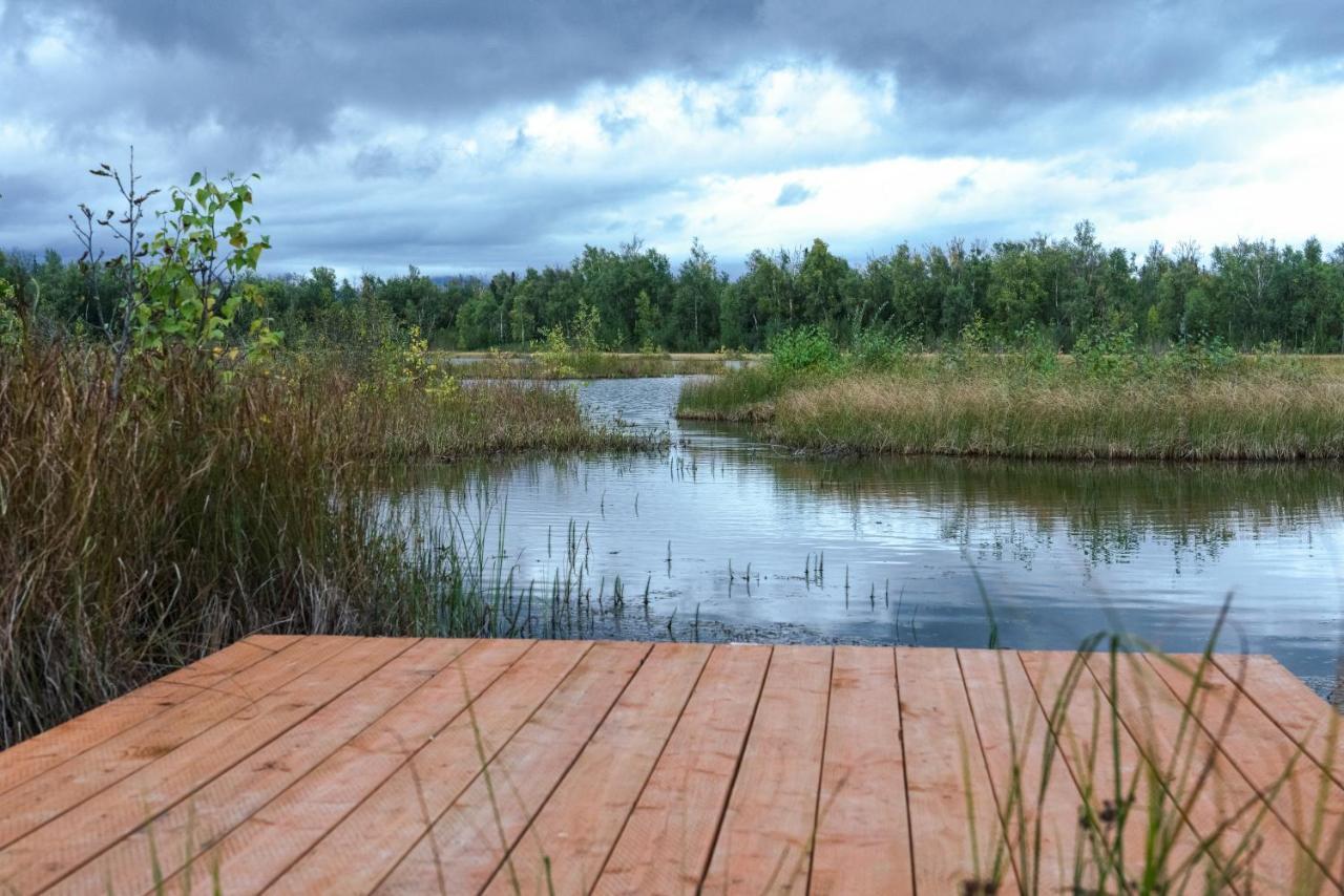 Snowgoose Pond Bed & Breakfast Palmer Exterior photo